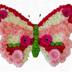 Butterfly Tribute