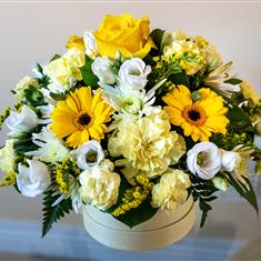 Yellow and cream hatbox